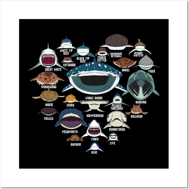 Types Of Shark Identification Shark Faces Tee Marine Biology Wall Art by Proficient Tees